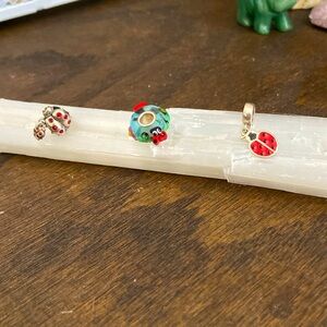 European Ladybug Charms